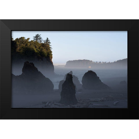 Ruby Beach Morning III Black Modern Wood Framed Art Print by Hellmann, Stan