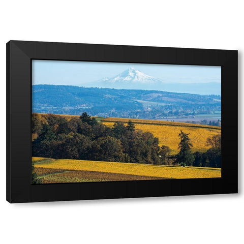 Dundee Hills I Black Modern Wood Framed Art Print by Hellmann, Stan
