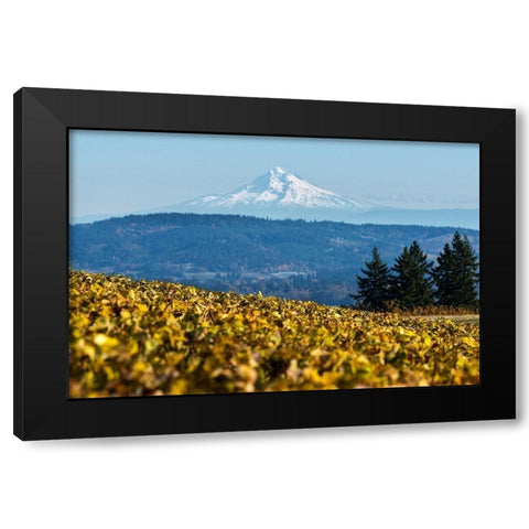 Dundee Hills II Black Modern Wood Framed Art Print with Double Matting by Hellmann, Stan