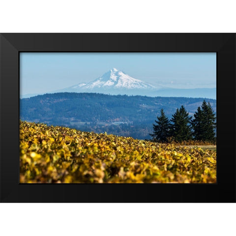 Dundee Hills II Black Modern Wood Framed Art Print by Hellmann, Stan