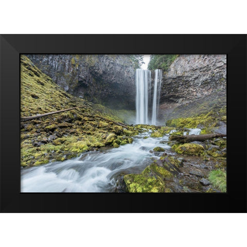 Tamanawas Falls I Black Modern Wood Framed Art Print by Hellmann, Stan