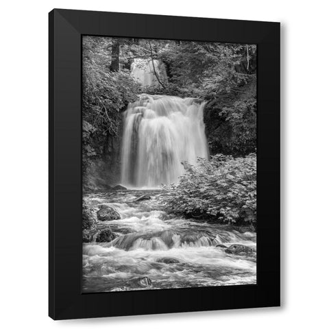 Twin Falls BW Black Modern Wood Framed Art Print by Hellmann, Stan