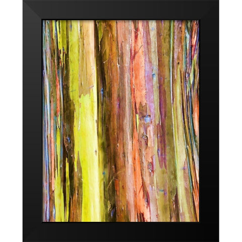 Eucalyptus Bark I Black Modern Wood Framed Art Print by Hellmann, Stan