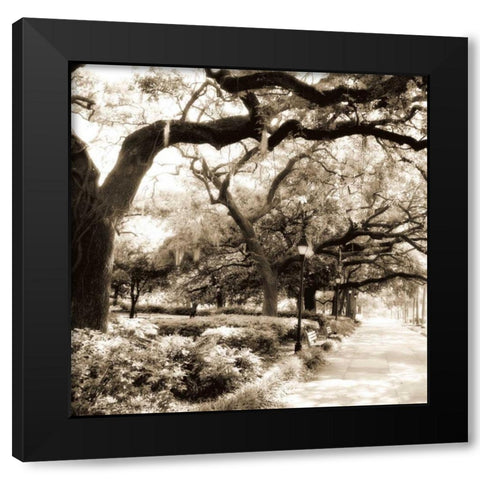 Savannah Sepia Sq II Black Modern Wood Framed Art Print by Hausenflock, Alan