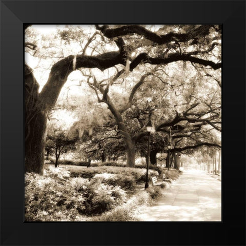 Savannah Sepia Sq II Black Modern Wood Framed Art Print by Hausenflock, Alan