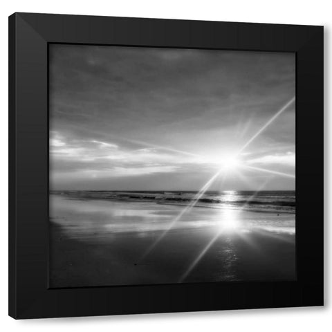 Beauteous Light IV Black Modern Wood Framed Art Print with Double Matting by Hausenflock, Alan