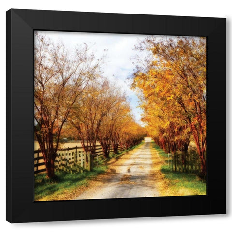 Glen Allen Farm Square IV Black Modern Wood Framed Art Print by Hausenflock, Alan