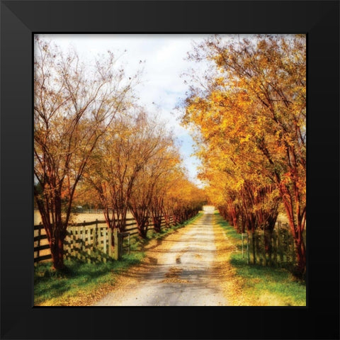 Glen Allen Farm Square IV Black Modern Wood Framed Art Print by Hausenflock, Alan