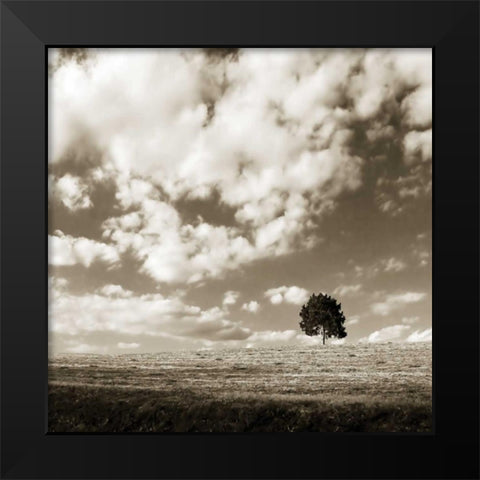 Cloudy Skies Sq I Black Modern Wood Framed Art Print by Hausenflock, Alan