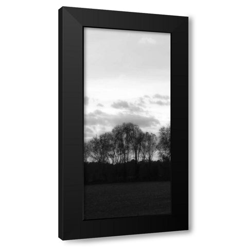 Winter Sunset BW III Black Modern Wood Framed Art Print with Double Matting by Hausenflock, Alan