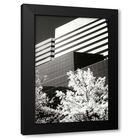Geometric IV Black Modern Wood Framed Art Print by Hausenflock, Alan
