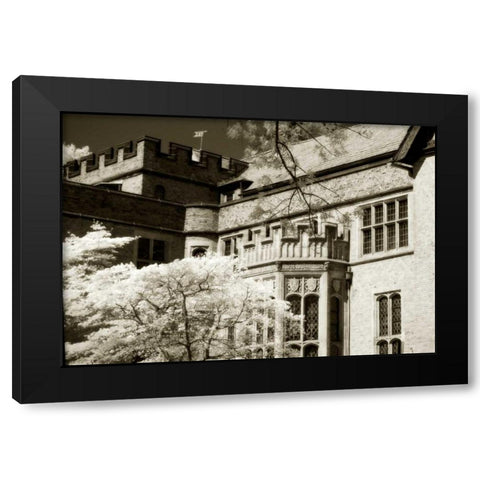 Tudor Mansion II Black Modern Wood Framed Art Print by Hausenflock, Alan
