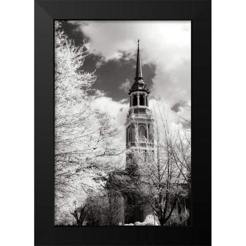 Renewal I Black Modern Wood Framed Art Print by Hausenflock, Alan
