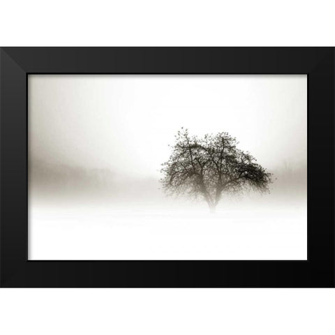In the Mist I Black Modern Wood Framed Art Print by Hausenflock, Alan