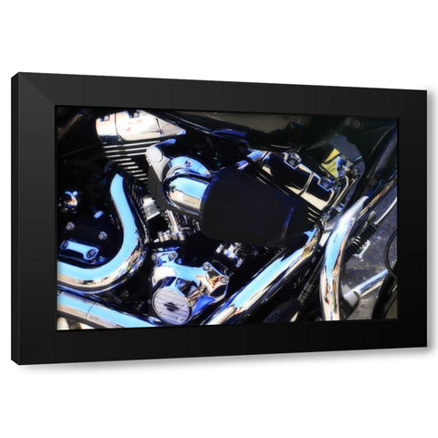 Black Beauty II Black Modern Wood Framed Art Print with Double Matting by Hausenflock, Alan