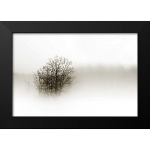 In the Mist II Black Modern Wood Framed Art Print by Hausenflock, Alan