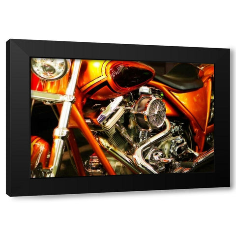 Wild Ride II Black Modern Wood Framed Art Print with Double Matting by Hausenflock, Alan