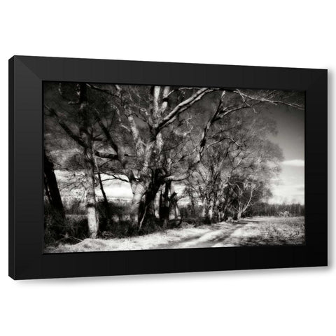 Winter Fields I Black Modern Wood Framed Art Print with Double Matting by Hausenflock, Alan