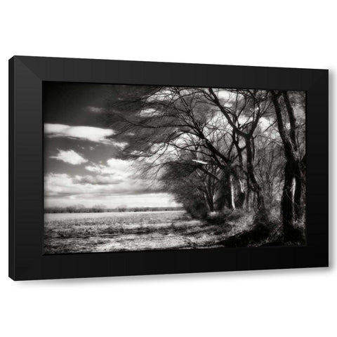 Winter Fields II Black Modern Wood Framed Art Print with Double Matting by Hausenflock, Alan