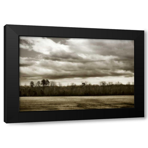 Winter Fields III Black Modern Wood Framed Art Print by Hausenflock, Alan