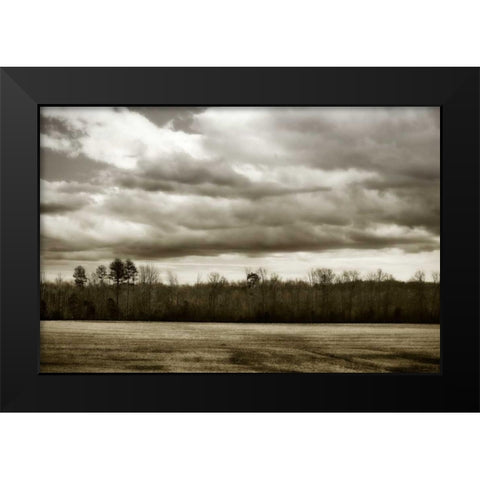 Winter Fields III Black Modern Wood Framed Art Print by Hausenflock, Alan