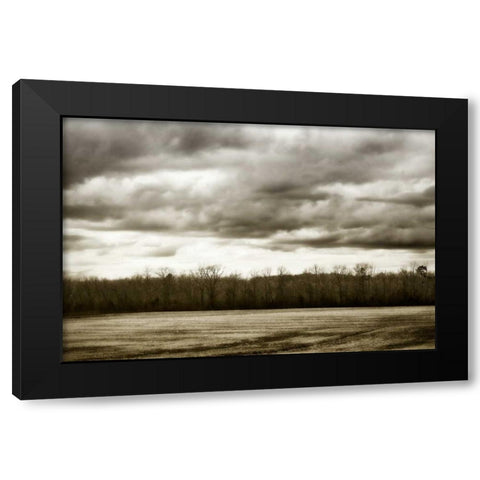 Winter Fields IV Black Modern Wood Framed Art Print by Hausenflock, Alan