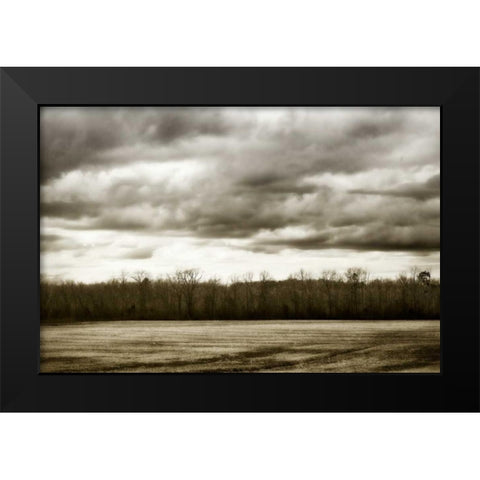Winter Fields IV Black Modern Wood Framed Art Print by Hausenflock, Alan