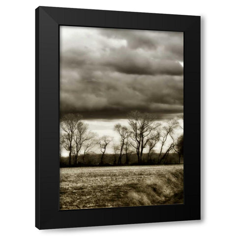 Winter Fields V Black Modern Wood Framed Art Print by Hausenflock, Alan