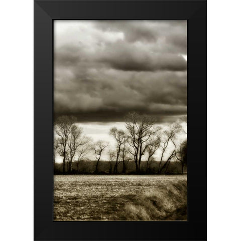 Winter Fields V Black Modern Wood Framed Art Print by Hausenflock, Alan