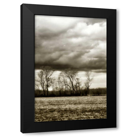 Winter Fields VI Black Modern Wood Framed Art Print with Double Matting by Hausenflock, Alan