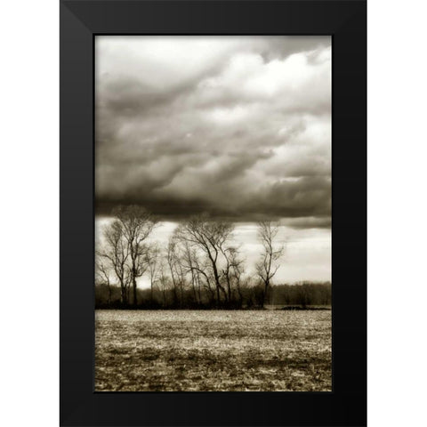 Winter Fields VI Black Modern Wood Framed Art Print by Hausenflock, Alan