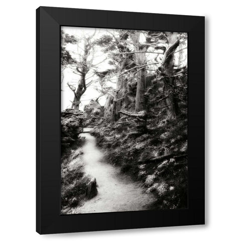 North Point Pathway I Black Modern Wood Framed Art Print by Hausenflock, Alan