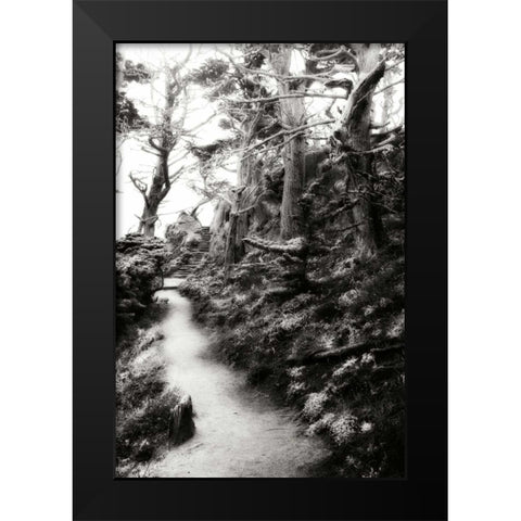 North Point Pathway I Black Modern Wood Framed Art Print by Hausenflock, Alan