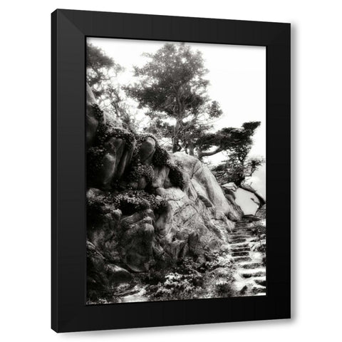 North Point Pathway II Black Modern Wood Framed Art Print by Hausenflock, Alan