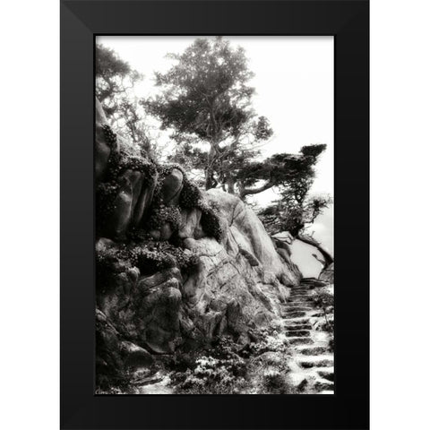 North Point Pathway II Black Modern Wood Framed Art Print by Hausenflock, Alan