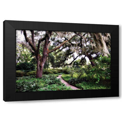 Sultry Garden I Black Modern Wood Framed Art Print by Hausenflock, Alan
