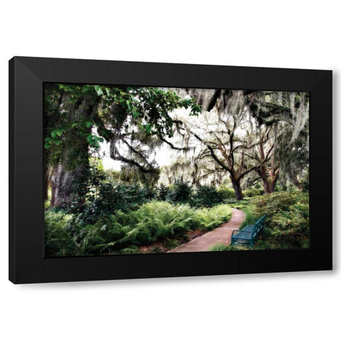Sultry Garden II Black Modern Wood Framed Art Print by Hausenflock, Alan