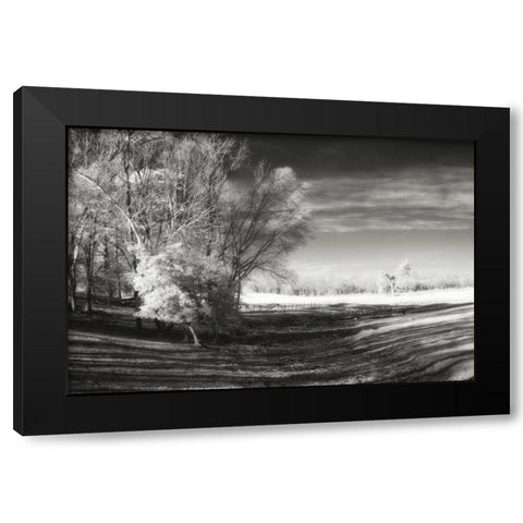 Dry Creek I Black Modern Wood Framed Art Print by Hausenflock, Alan