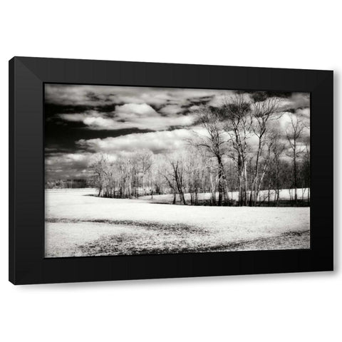 Hanover Winter I Black Modern Wood Framed Art Print by Hausenflock, Alan