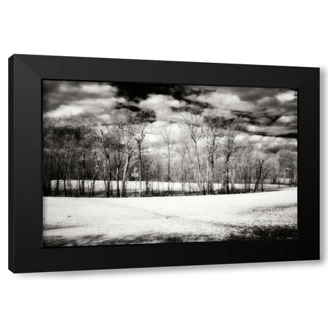 Hanover Winter II Black Modern Wood Framed Art Print with Double Matting by Hausenflock, Alan