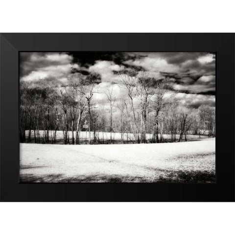 Hanover Winter II Black Modern Wood Framed Art Print by Hausenflock, Alan