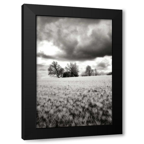 Stormy Skies I Black Modern Wood Framed Art Print by Hausenflock, Alan