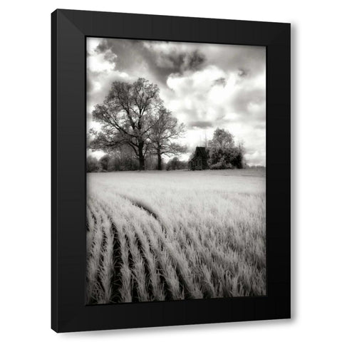 Stormy Skies II Black Modern Wood Framed Art Print by Hausenflock, Alan