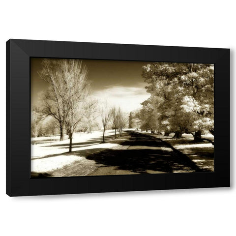 Stately Magnolias II Black Modern Wood Framed Art Print with Double Matting by Hausenflock, Alan