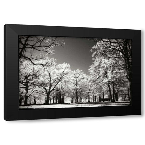 Bright Spring Day I Black Modern Wood Framed Art Print with Double Matting by Hausenflock, Alan