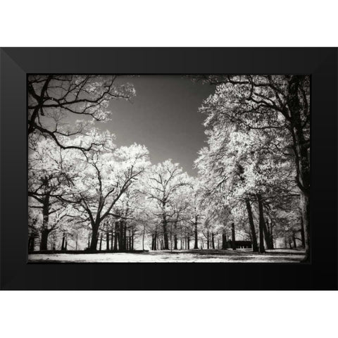 Bright Spring Day I Black Modern Wood Framed Art Print by Hausenflock, Alan