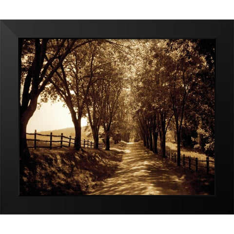Ash Lawn I Black Modern Wood Framed Art Print by Hausenflock, Alan