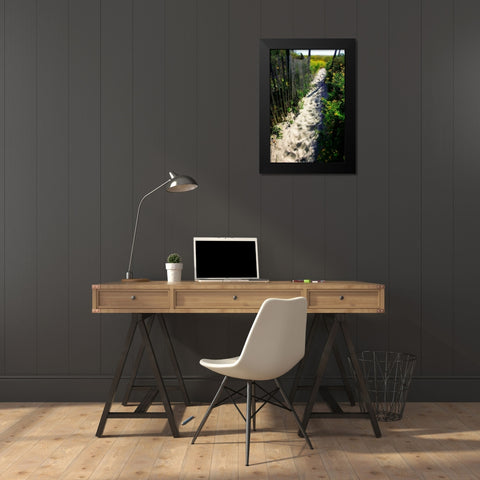 To the Beach I Black Modern Wood Framed Art Print by Hausenflock, Alan
