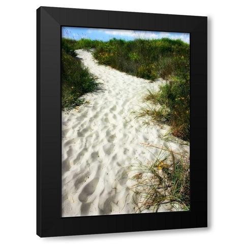 To the Beach II Black Modern Wood Framed Art Print by Hausenflock, Alan