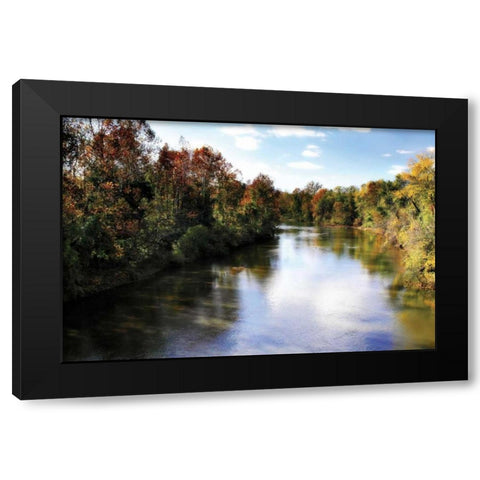 The Rivianna II Black Modern Wood Framed Art Print by Hausenflock, Alan